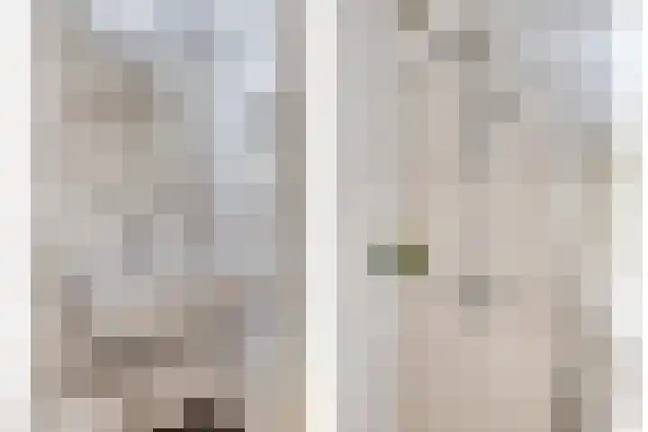 Stadhouderslaan 12 Goes thumbnail 25