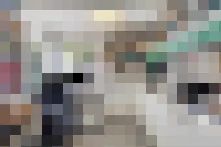 Stadhouderslaan 12 Goes thumbnail 26