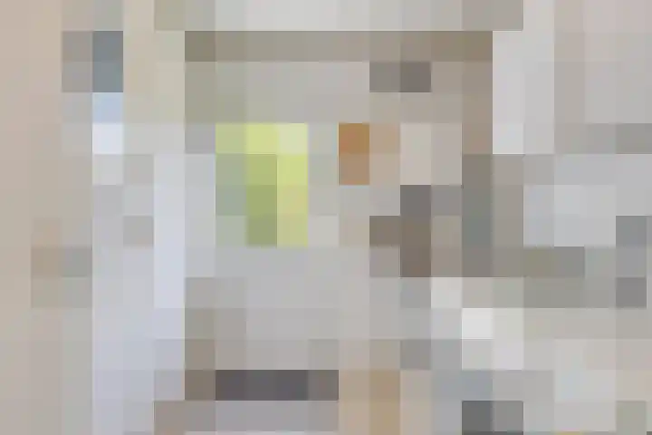 Stadhouderslaan 12 Goes thumbnail 28
