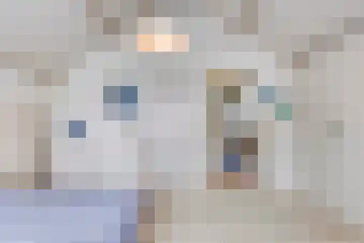 Stadhouderslaan 12 Goes thumbnail 32