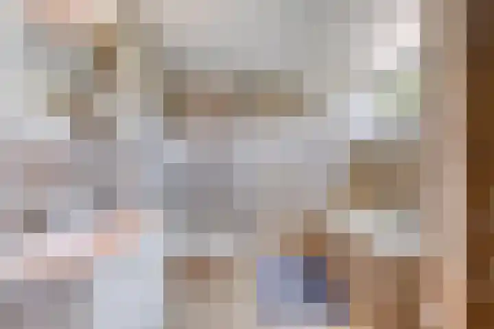 Stadhouderslaan 12 Goes thumbnail 33