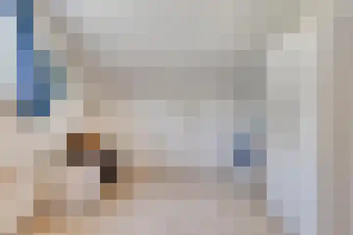 Stadhouderslaan 12 Goes thumbnail 35
