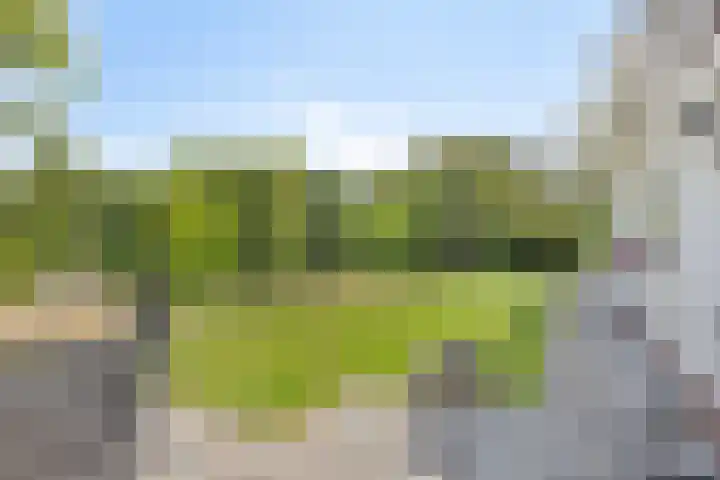 Stadhouderslaan 12 Goes thumbnail 37