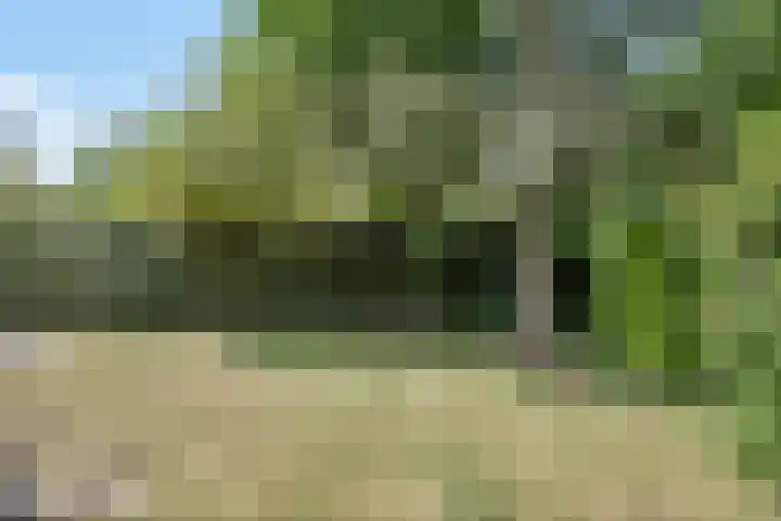 Stadhouderslaan 12 Goes thumbnail 39