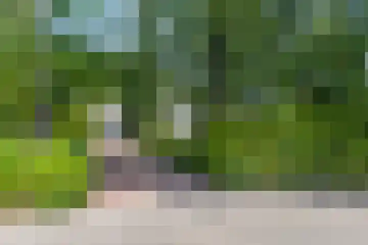 Stadhouderslaan 12 Goes thumbnail 4