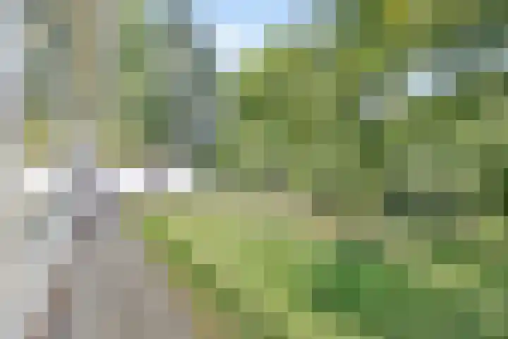 Stadhouderslaan 12 Goes thumbnail 40
