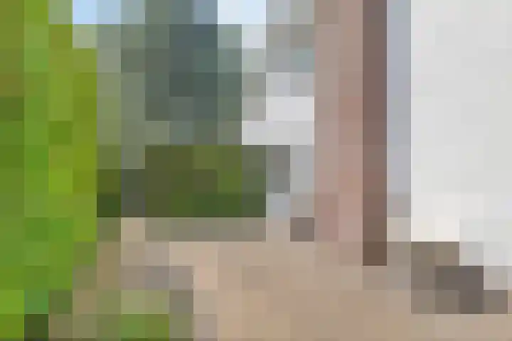 Stadhouderslaan 12 Goes thumbnail 41