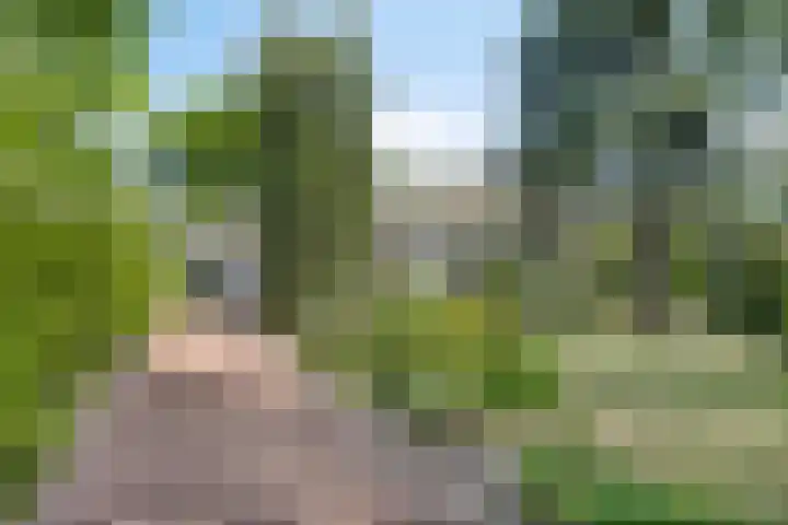 Stadhouderslaan 12 Goes thumbnail 5