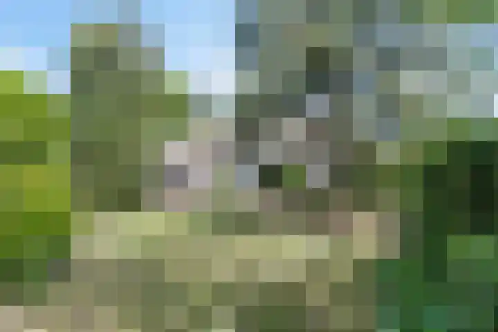 Stadhouderslaan 12 Goes thumbnail 6