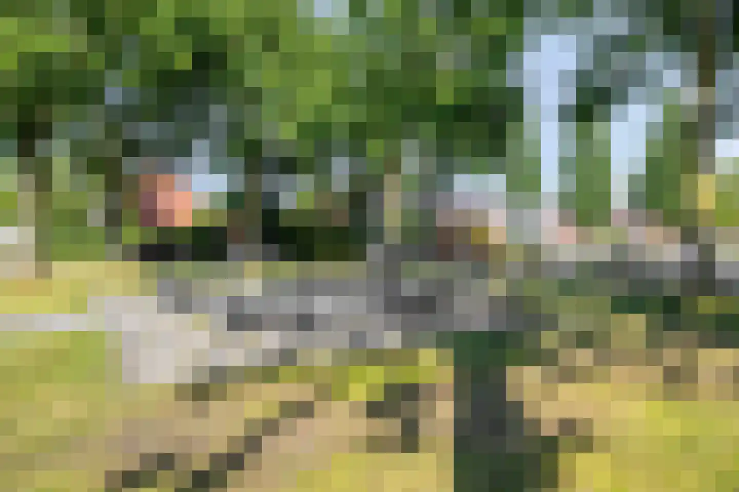 Stadhouderslaan 120 Assen thumbnail 37