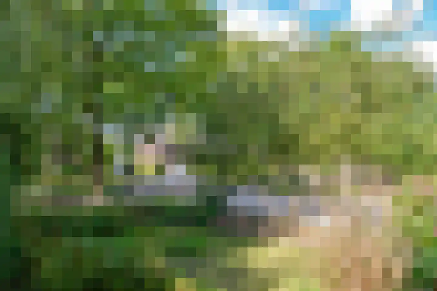 Stadhouderslaan 134 Soest thumbnail 28
