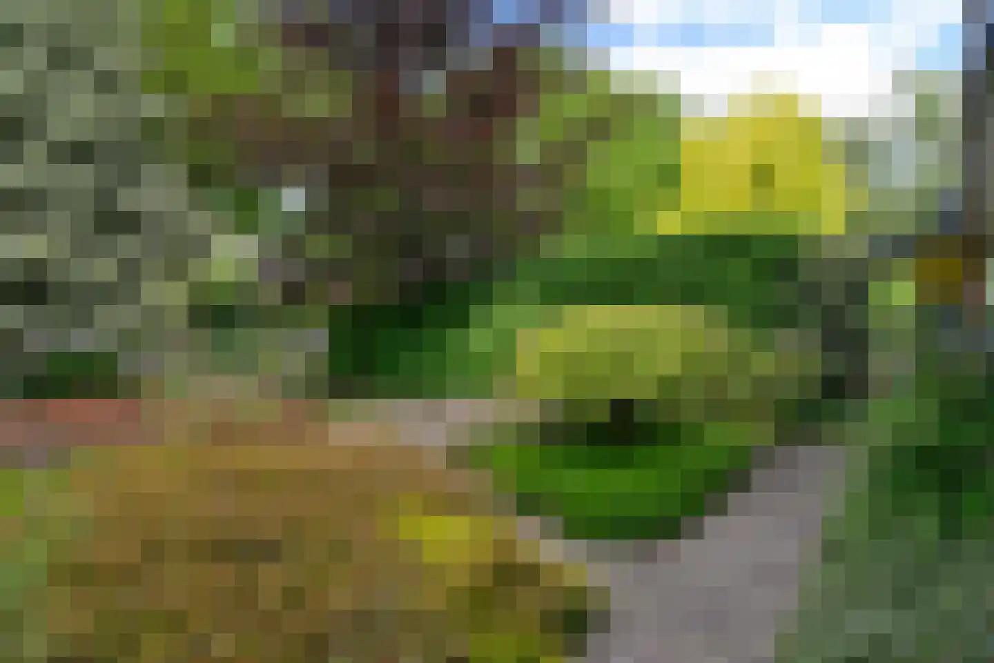 Stadhouderslaan 144 Soest thumbnail 11