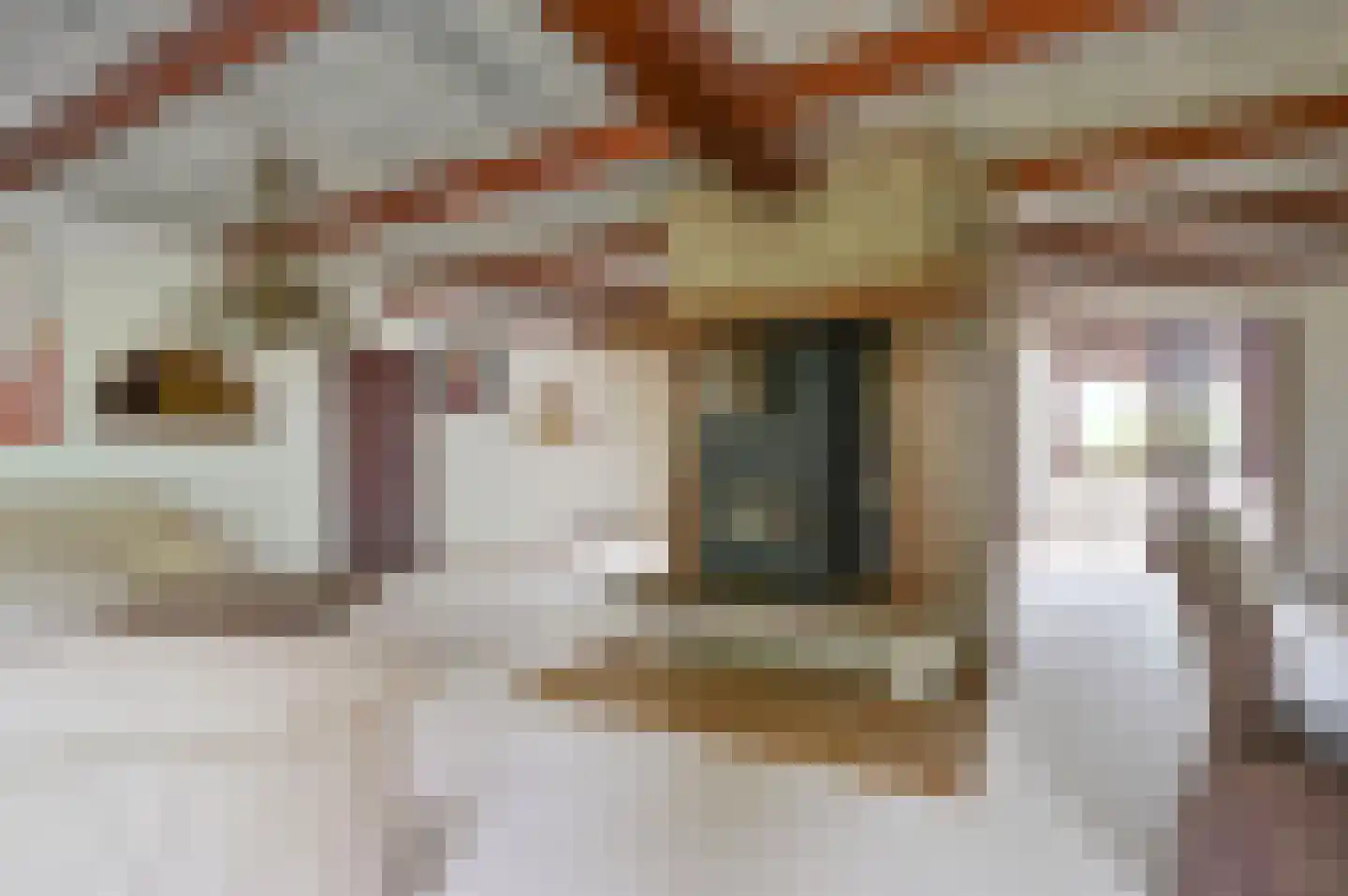 Stadhouderslaan 144 Soest thumbnail 21