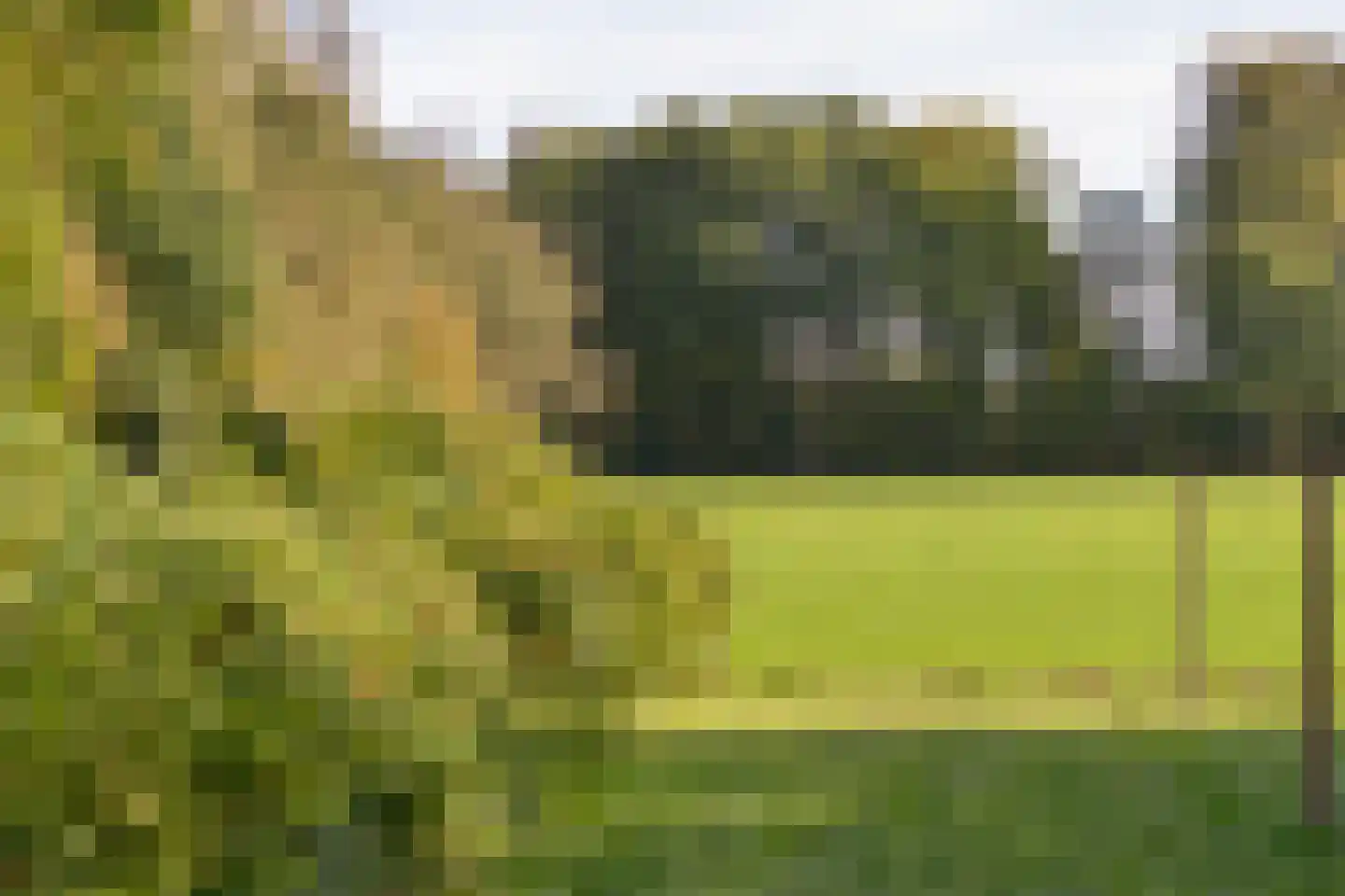 Stadhouderslaan 146 Soest thumbnail 29
