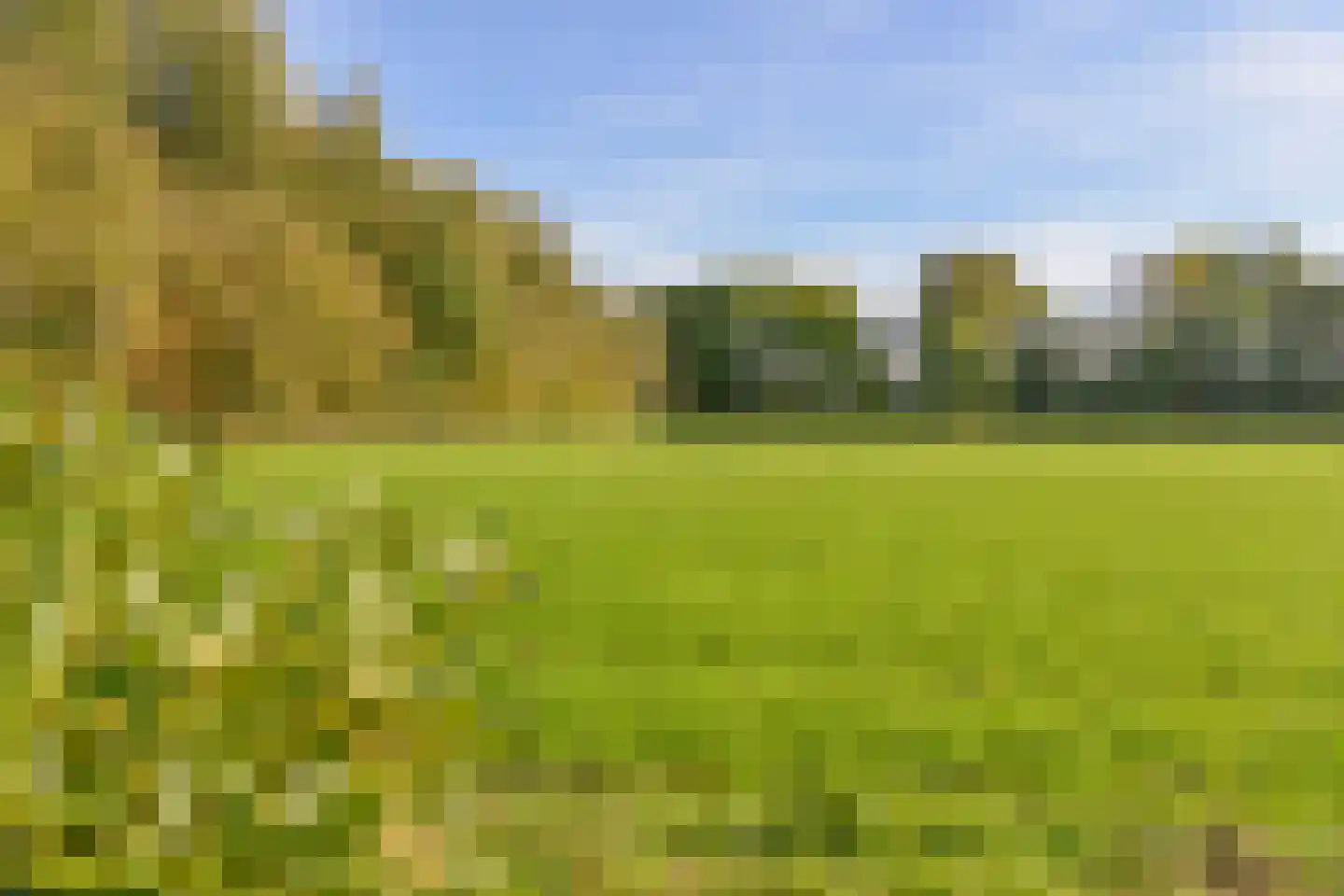 Stadhouderslaan 146 Soest thumbnail 30