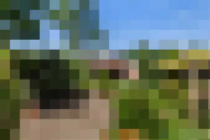 Stadhouderslaan 16 Vlaardingen thumbnail 19