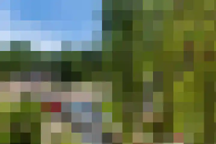 Stadhouderslaan 16 Vlaardingen thumbnail 26