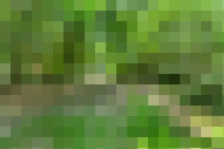 Stadhouderslaan 16 Vlaardingen thumbnail 47