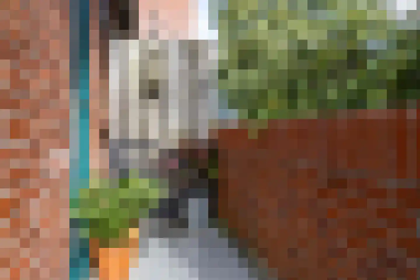 Stadhouderslaan 17 a Groningen thumbnail 21