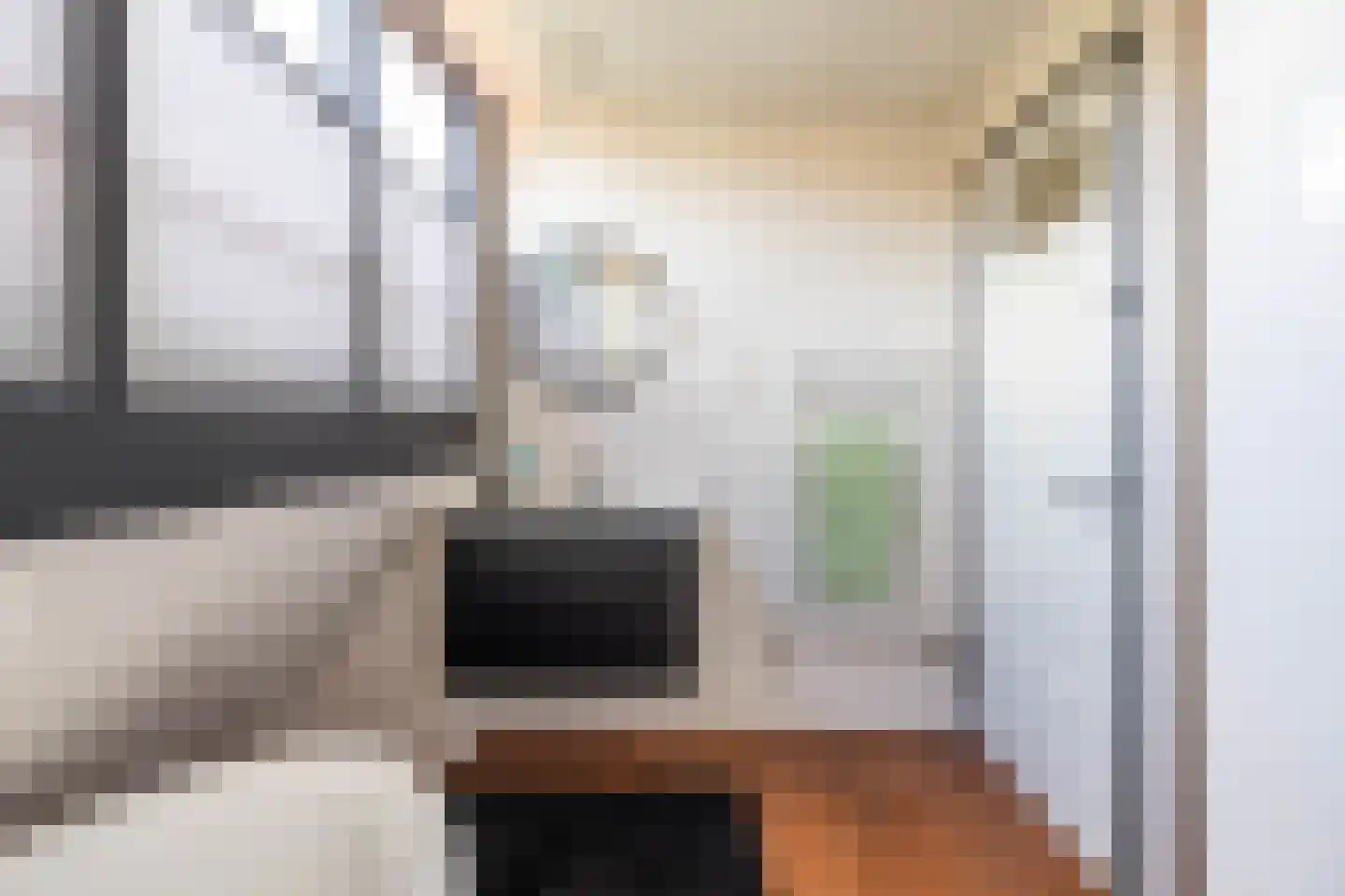 Stadhouderslaan 17 a Groningen thumbnail 40