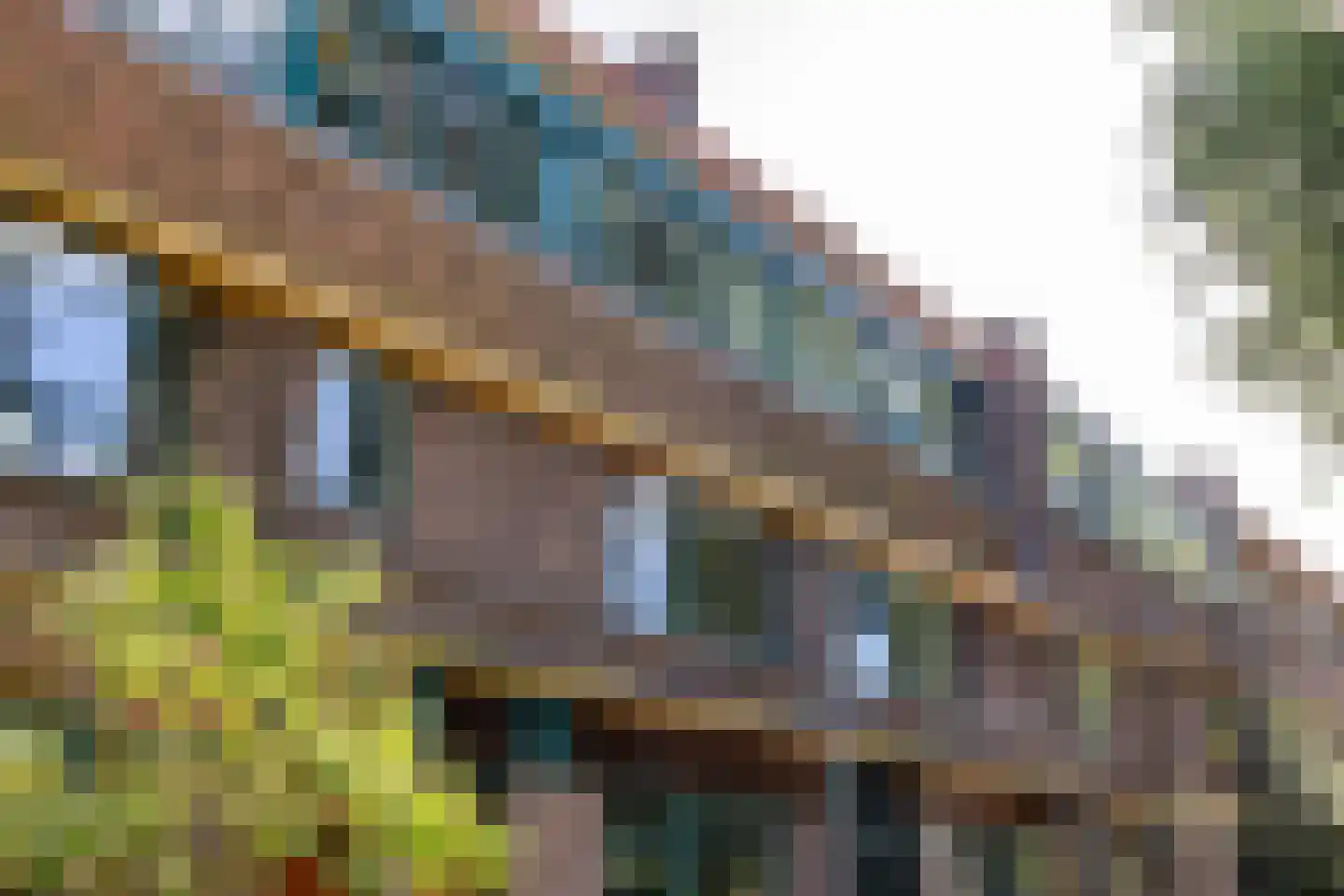 Stadhouderslaan 17 a Groningen thumbnail 43