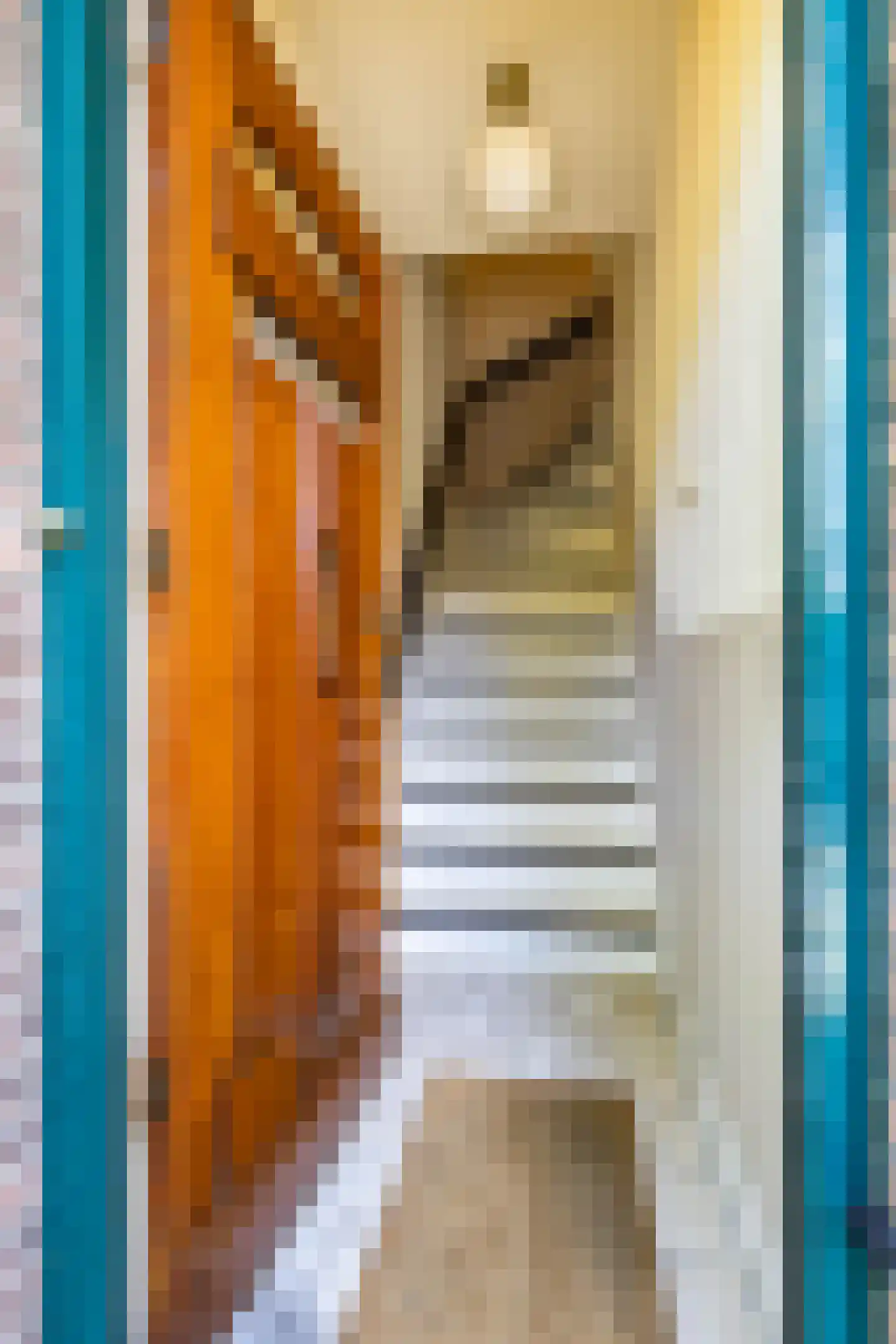 Stadhouderslaan 17 a Groningen thumbnail 6