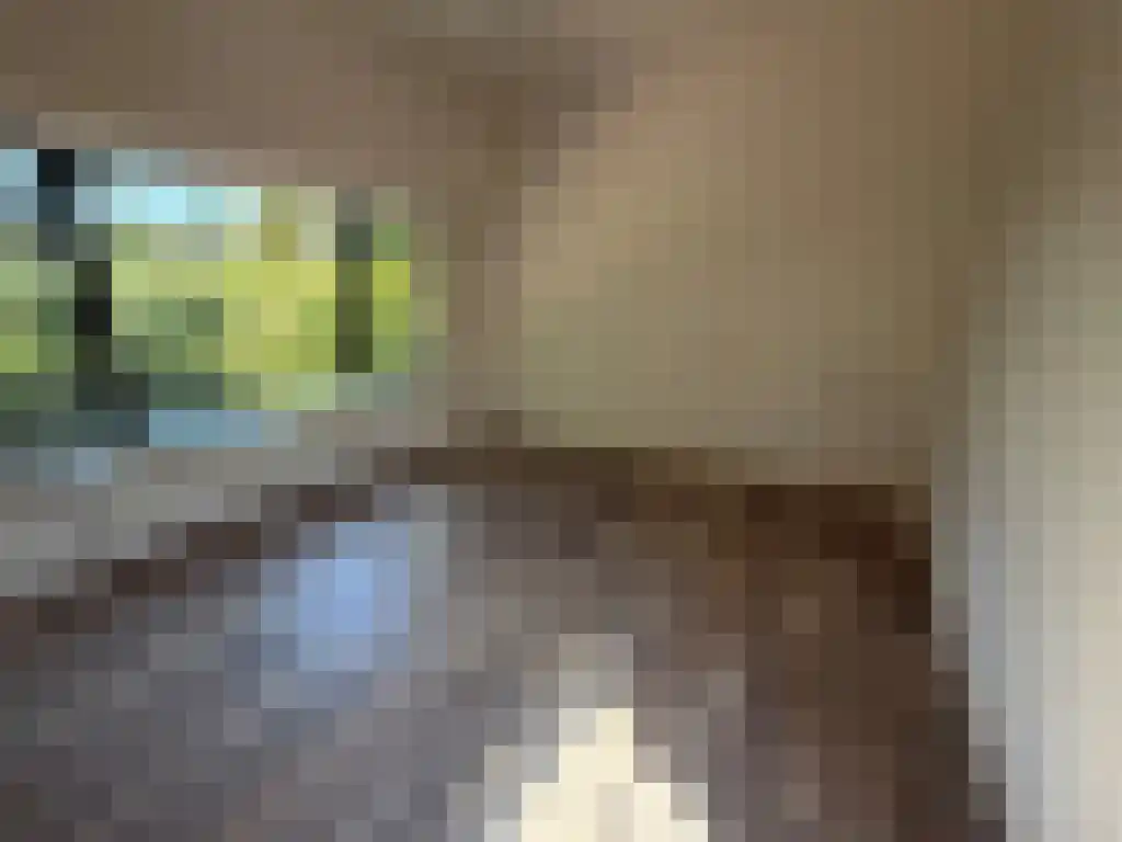 Stadhouderslaan 17 Groningen thumbnail 6