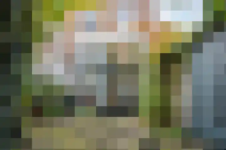 Stadhouderslaan 17 Leiden thumbnail 20