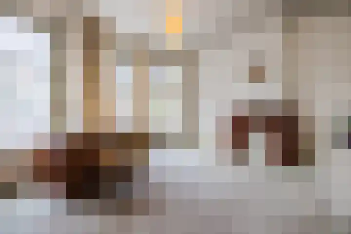 Stadhouderslaan 17 Leiden thumbnail 4