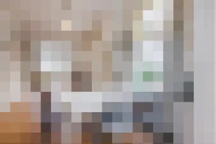 Stadhouderslaan 17 Leiden thumbnail 8