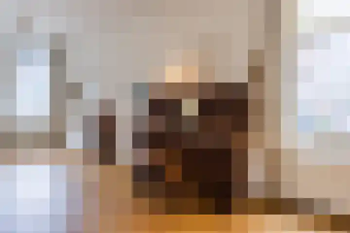 Stadhouderslaan 17 Leiden thumbnail 9