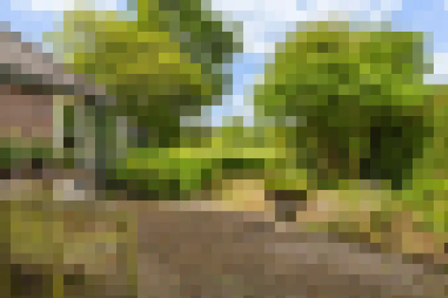 Stadhouderslaan 19 Soest thumbnail 37