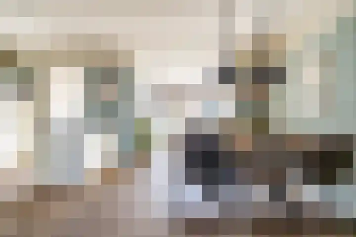 Stadhouderslaan 2 Zoeterwoude thumbnail 10