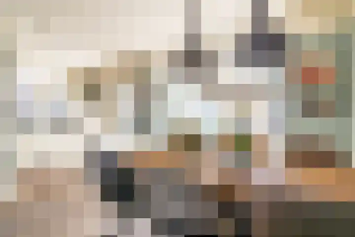Stadhouderslaan 2 Zoeterwoude thumbnail 11