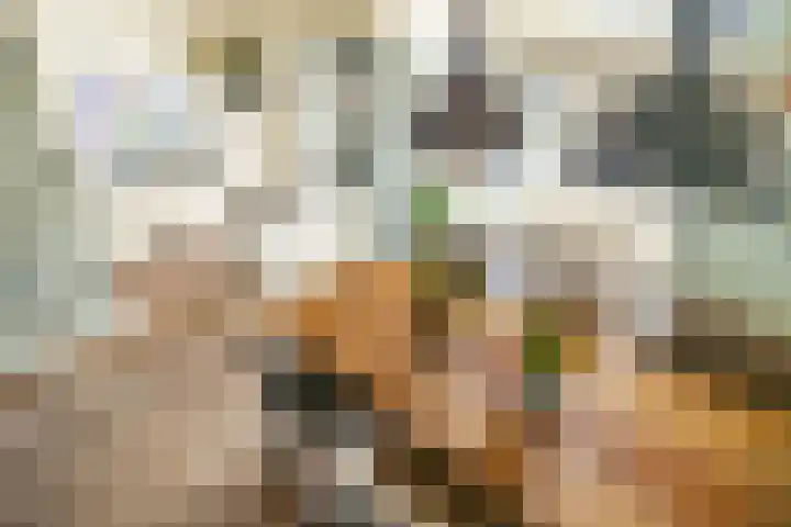 Stadhouderslaan 2 Zoeterwoude thumbnail 12