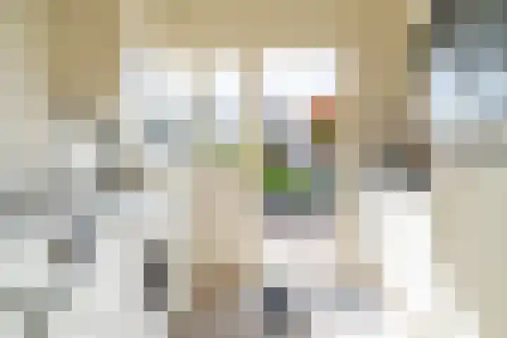 Stadhouderslaan 2 Zoeterwoude thumbnail 14