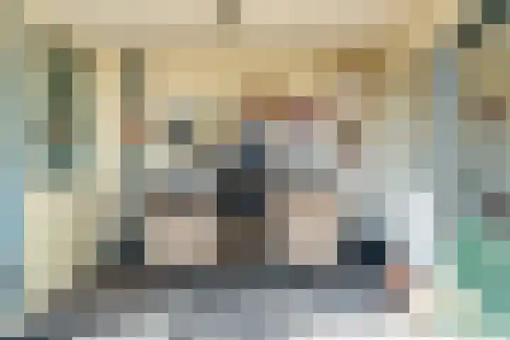 Stadhouderslaan 2 Zoeterwoude thumbnail 23