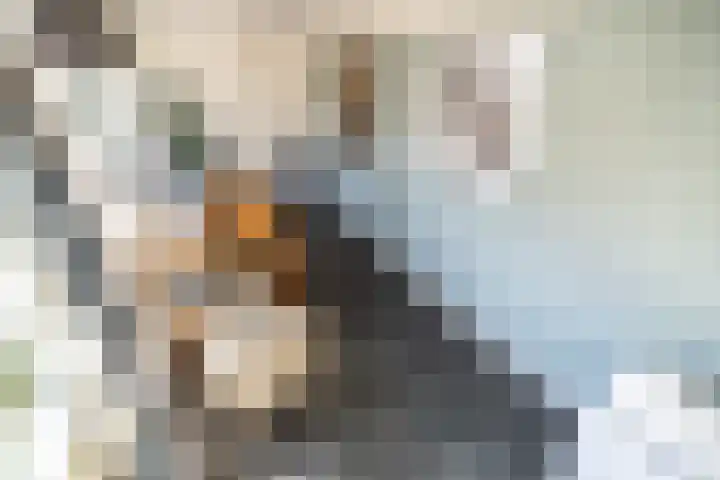 Stadhouderslaan 2 Zoeterwoude thumbnail 25