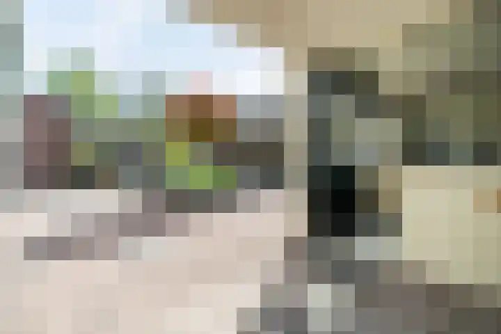 Stadhouderslaan 2 Zoeterwoude thumbnail 27
