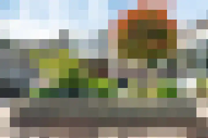 Stadhouderslaan 2 Zoeterwoude thumbnail 28