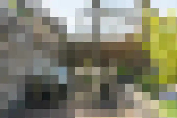 Stadhouderslaan 2 Zoeterwoude thumbnail 29