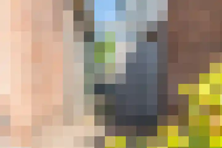 Stadhouderslaan 2 Zoeterwoude thumbnail 35