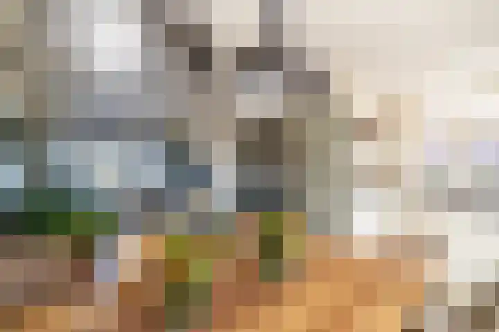 Stadhouderslaan 2 Zoeterwoude thumbnail 41