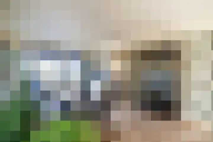 Stadhouderslaan 2 Zoeterwoude thumbnail 43