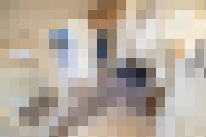 Stadhouderslaan 2 Zoeterwoude thumbnail 46