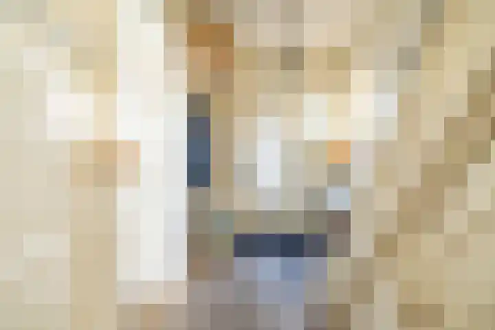 Stadhouderslaan 2 Zoeterwoude thumbnail 47