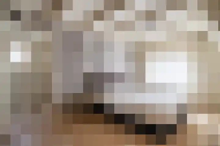 Stadhouderslaan 2 Zoeterwoude thumbnail 53