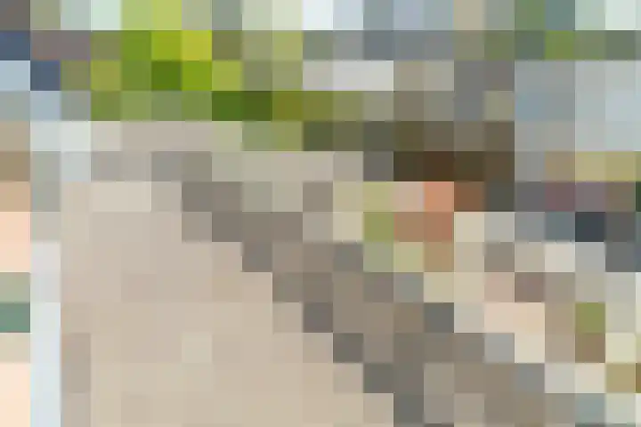 Stadhouderslaan 2 Zoeterwoude thumbnail 59