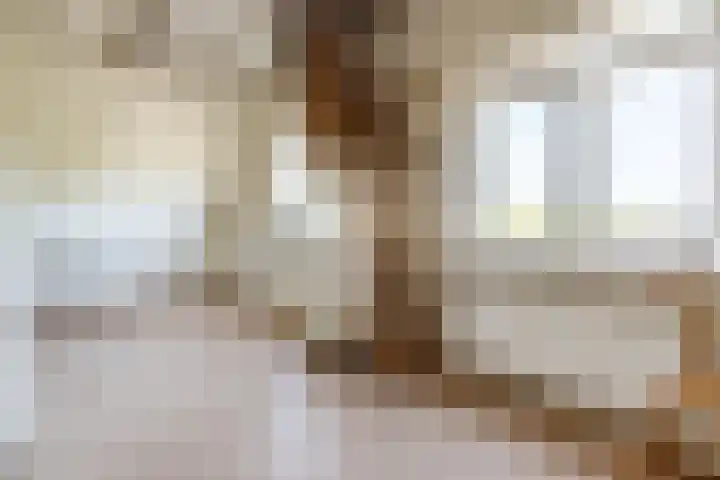 Stadhouderslaan 2 Zoeterwoude thumbnail 65