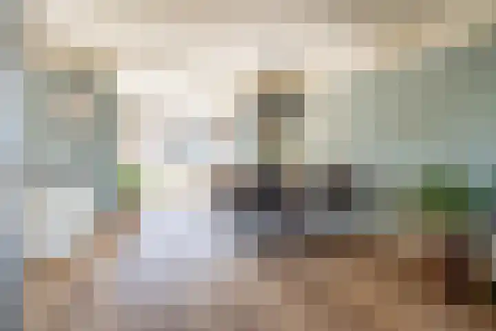 Stadhouderslaan 2 Zoeterwoude thumbnail 9